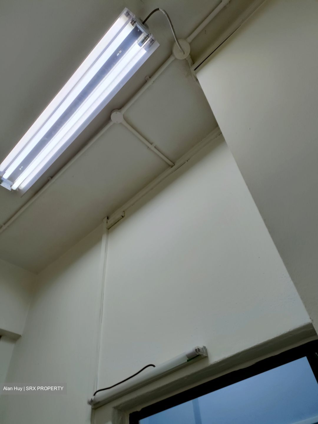 Hong Lim Complex (D1), Office #394887741